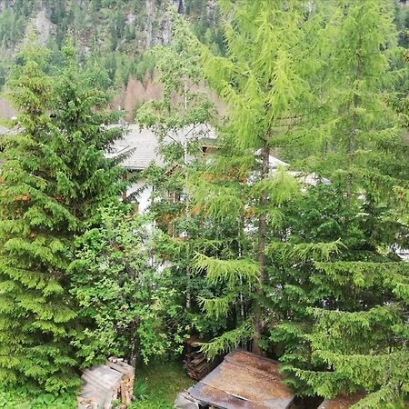 Cesa Pier Sellaronda Dolomiti Apartment Campitello di Fassa Exterior photo